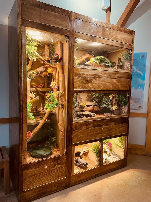 Multi reptile enclosure best sale